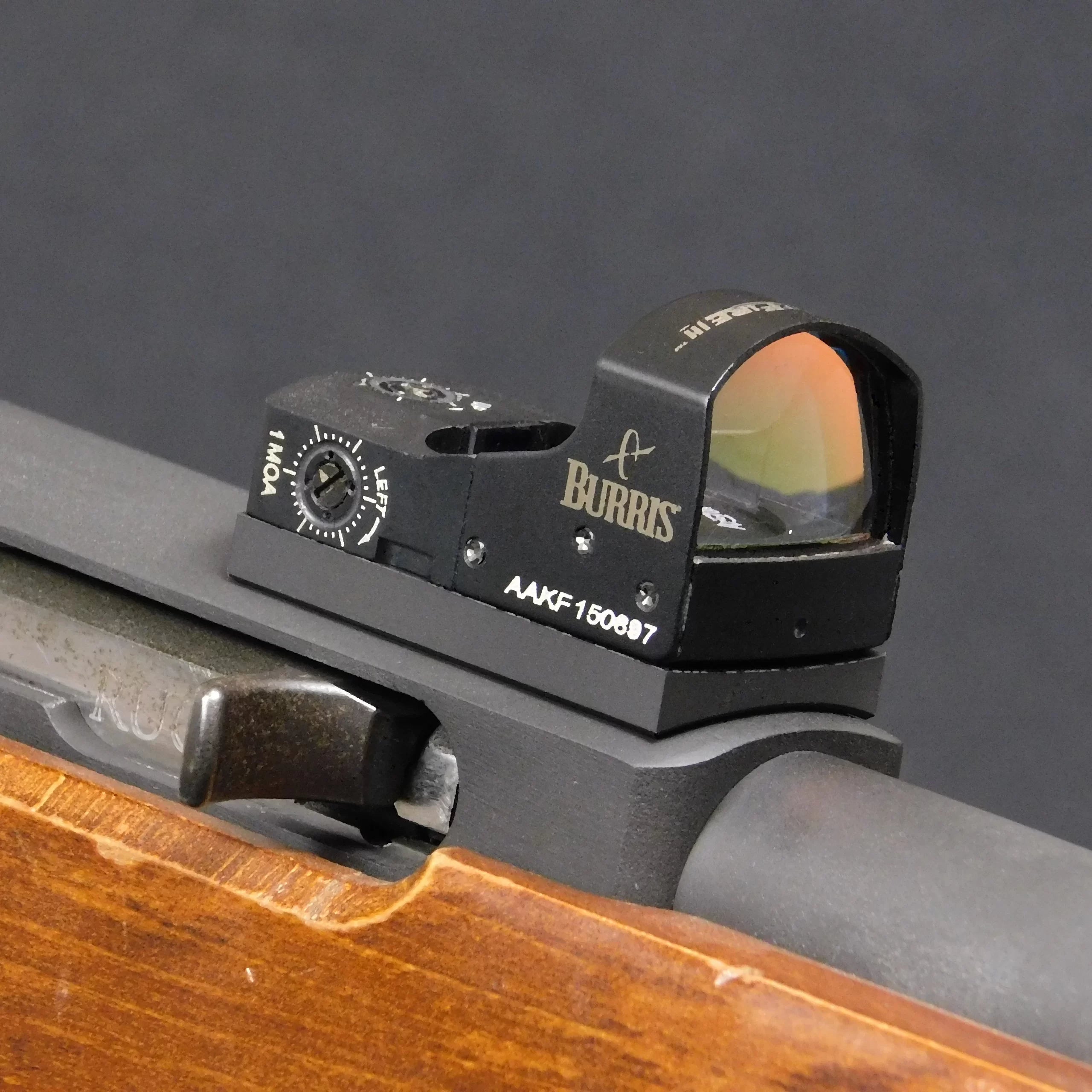 Ruger 10/22 Burris Fastfire Mount