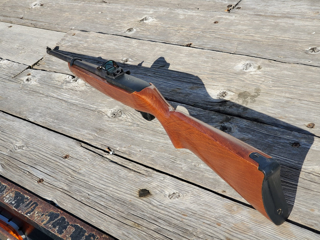 Ruger 10/22 with Armadyne Manufacturing Vortex Venom mount