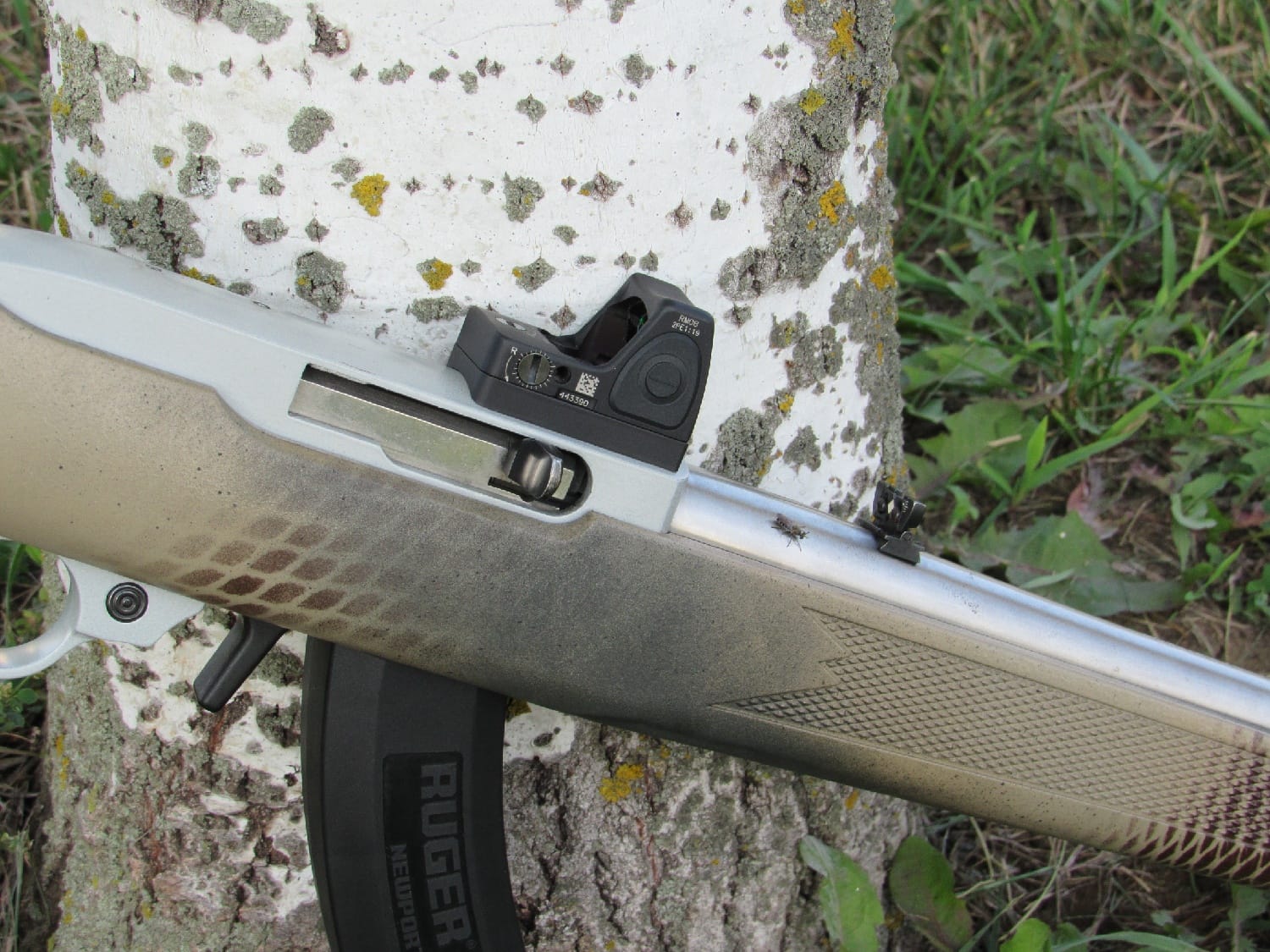 Ruger 10/22 mount