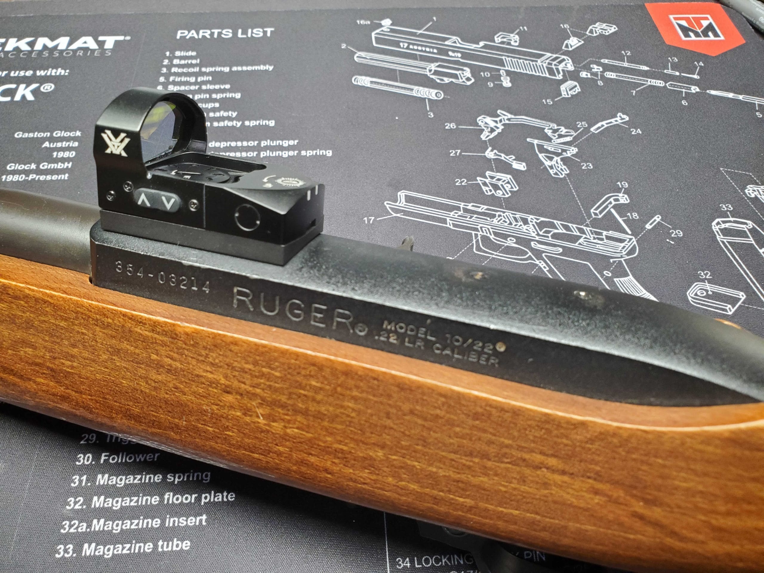 Vortex Venom on Ruger 10/22