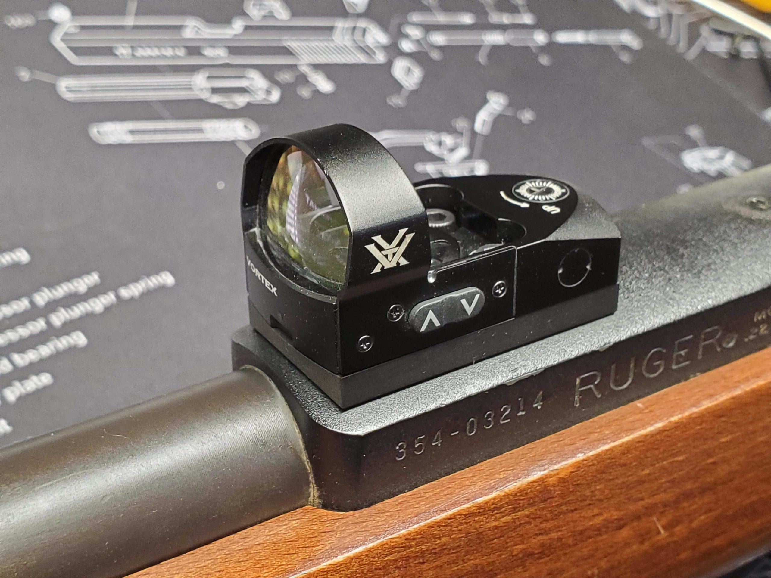 Vortex Venom on Ruger 10/22