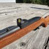 Ruger 10/22 with Armadyne Manufacturing Vortex Viper mount