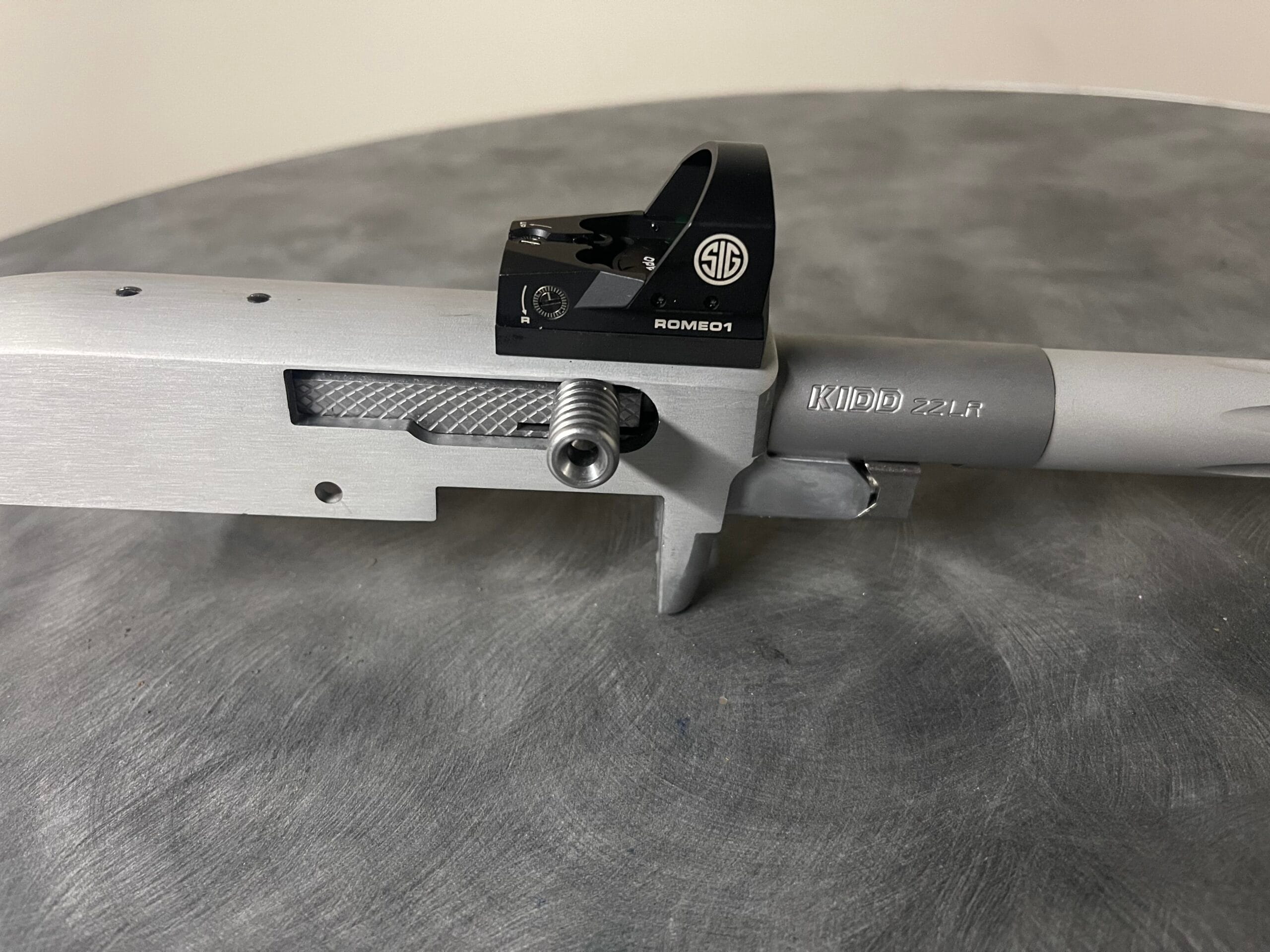 Precision Ruger 10/22 with Armadyne Manufacturing mount for the SIG Romeo 1.